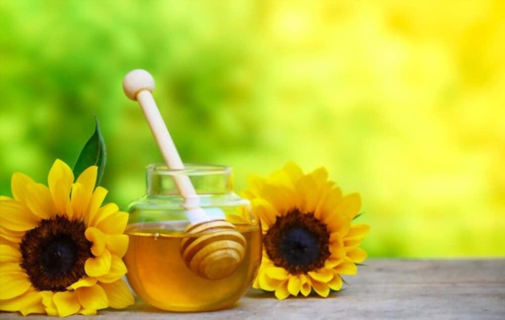 sunflower-honey-benefits