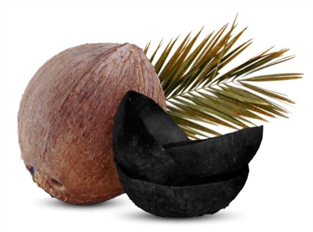 health-benefits-of-coconut-shell