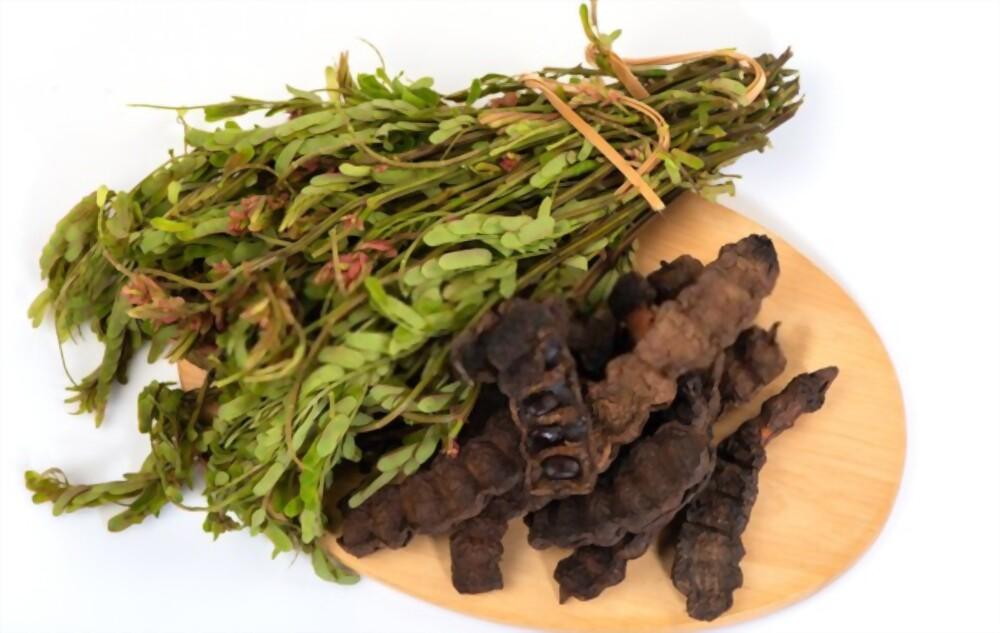 health-benefits-of-acacia-concinna-leaves