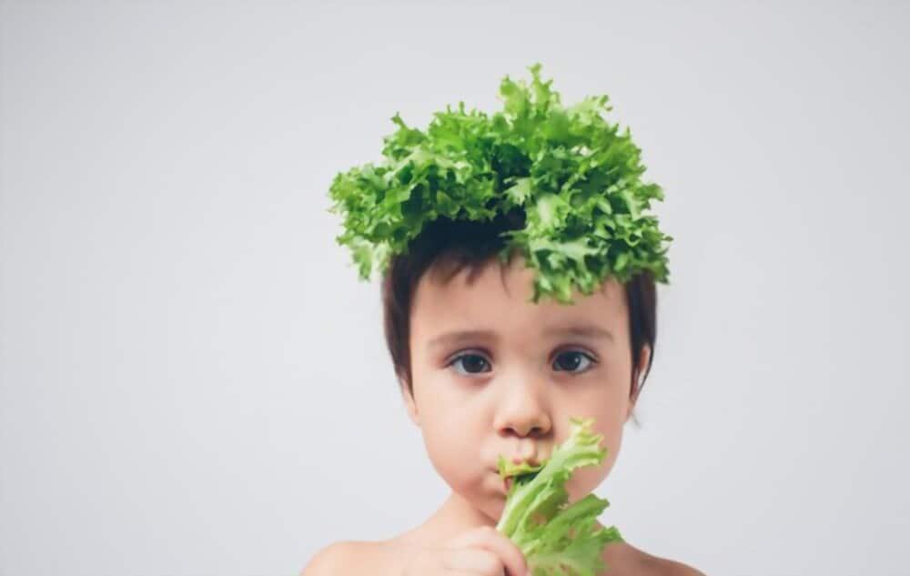 can-baby-eat-lettuce