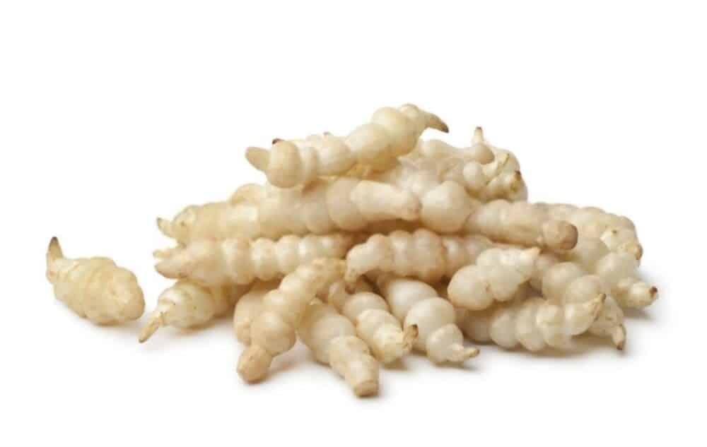 chinese-artichoke-benefits