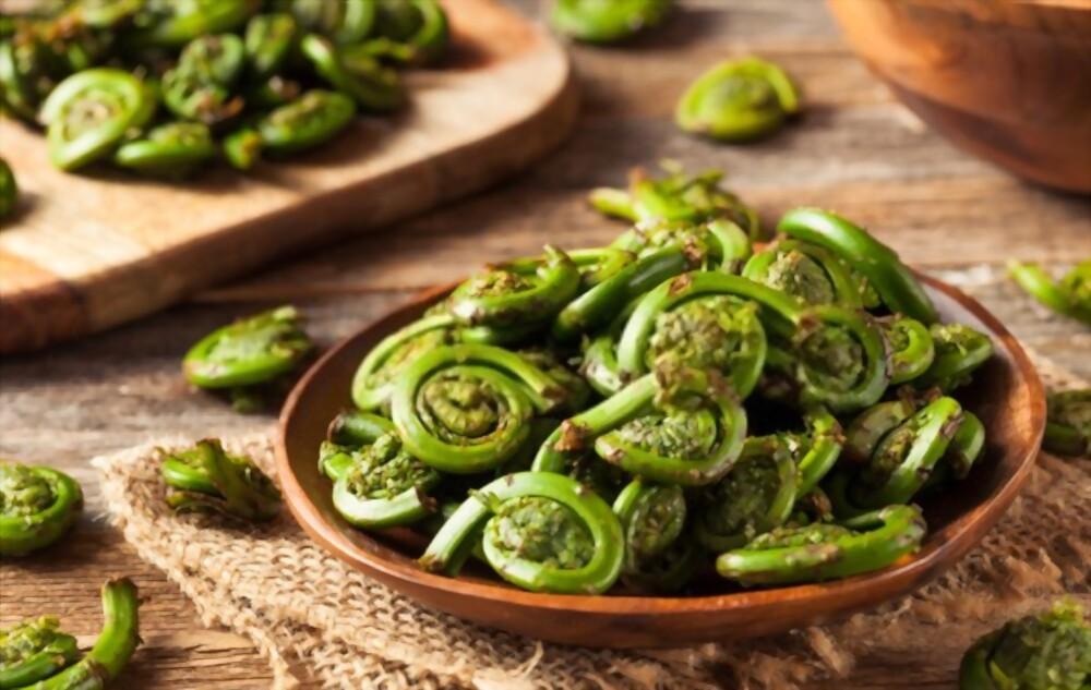 fiddlehead-fern-health-benefits