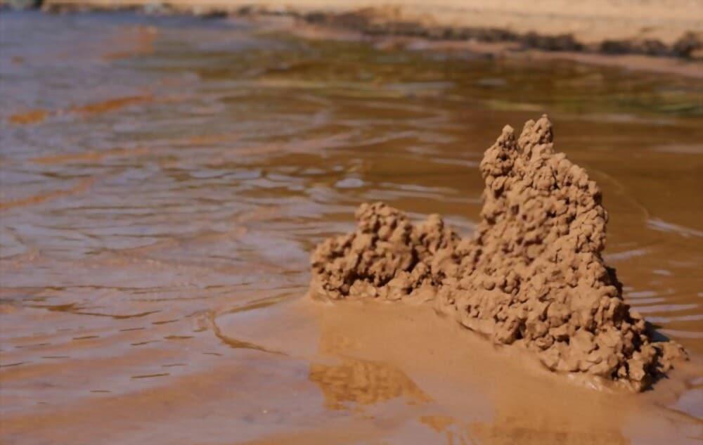 how-to-conserve-water-during-summer