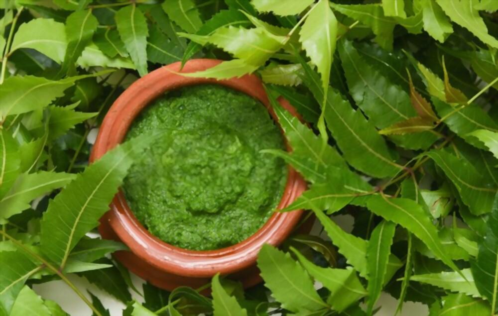 neem-leaves-skin-benefits