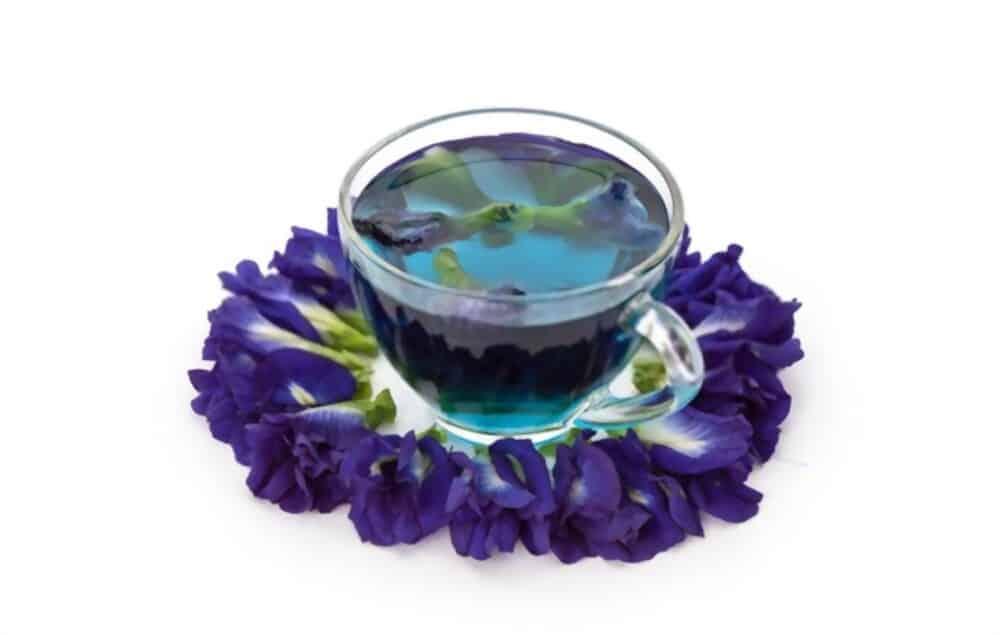 blue-butterfly-pea-flower-skin-benefits