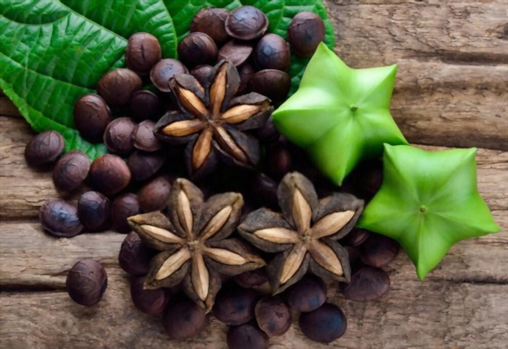 sacha-inchi-benefits