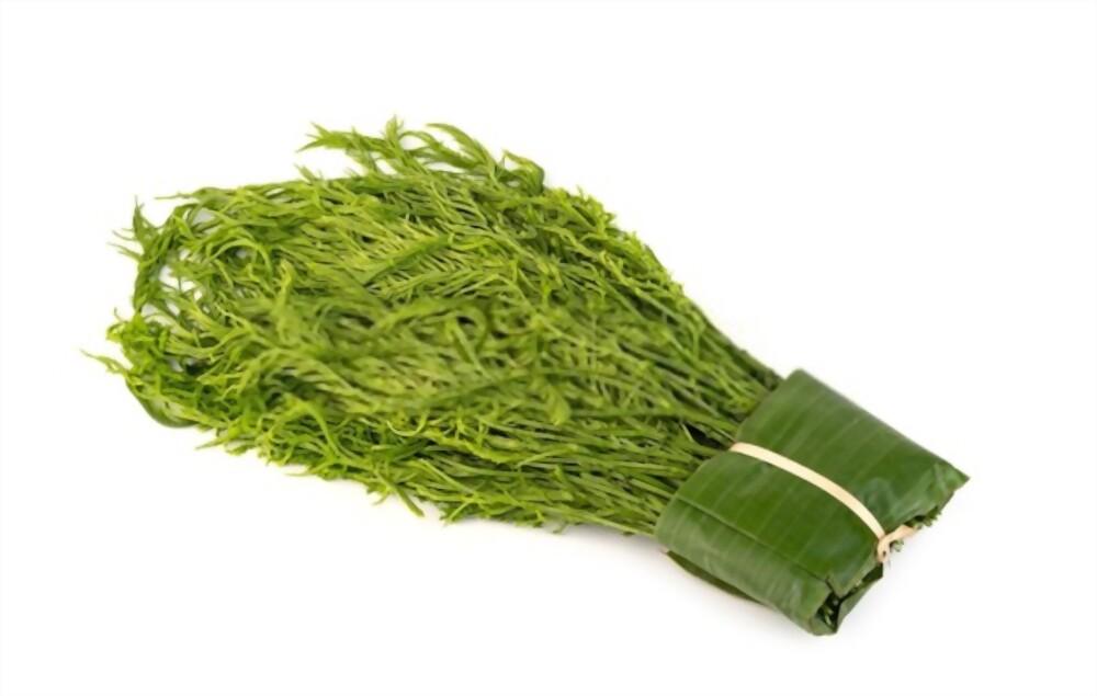 cha-om-health-benefits