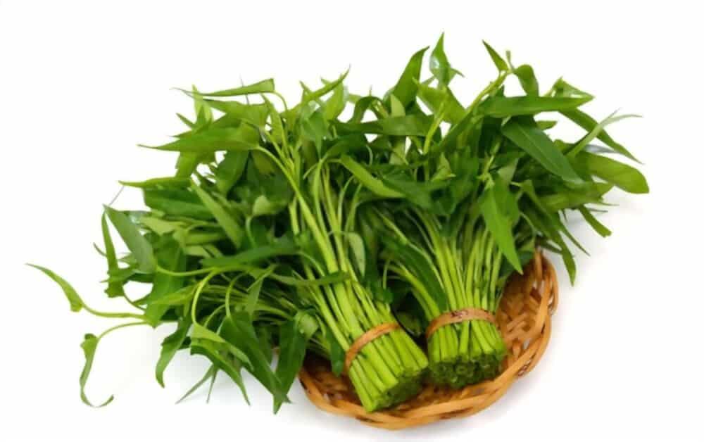 pregnant-mom-can-eat-water-spinach