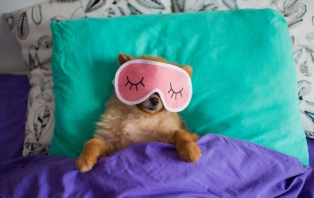 sleeping-position-and-health-benefits