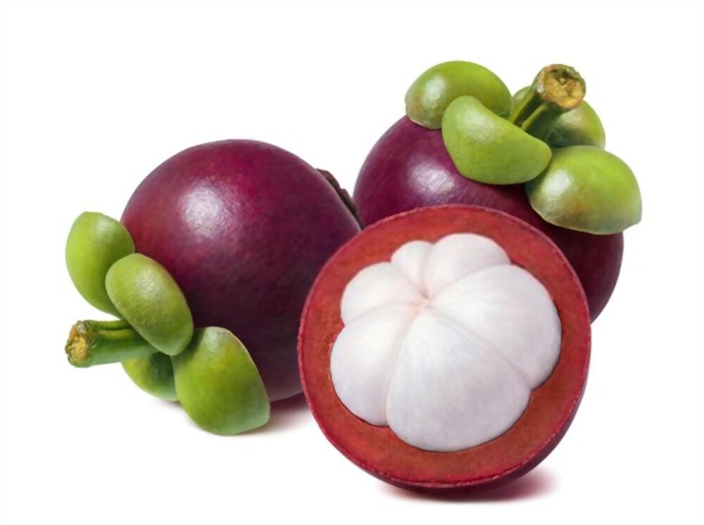 áááŻááşáááşááąáŹááşááąááą áááşá¸áá˝ááşááŽá¸ á
áŹá¸áááŻáˇáááŹá¸ ......