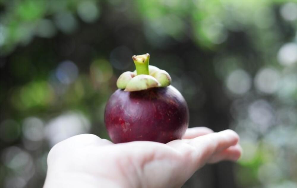 mangosteen-skin-benefits