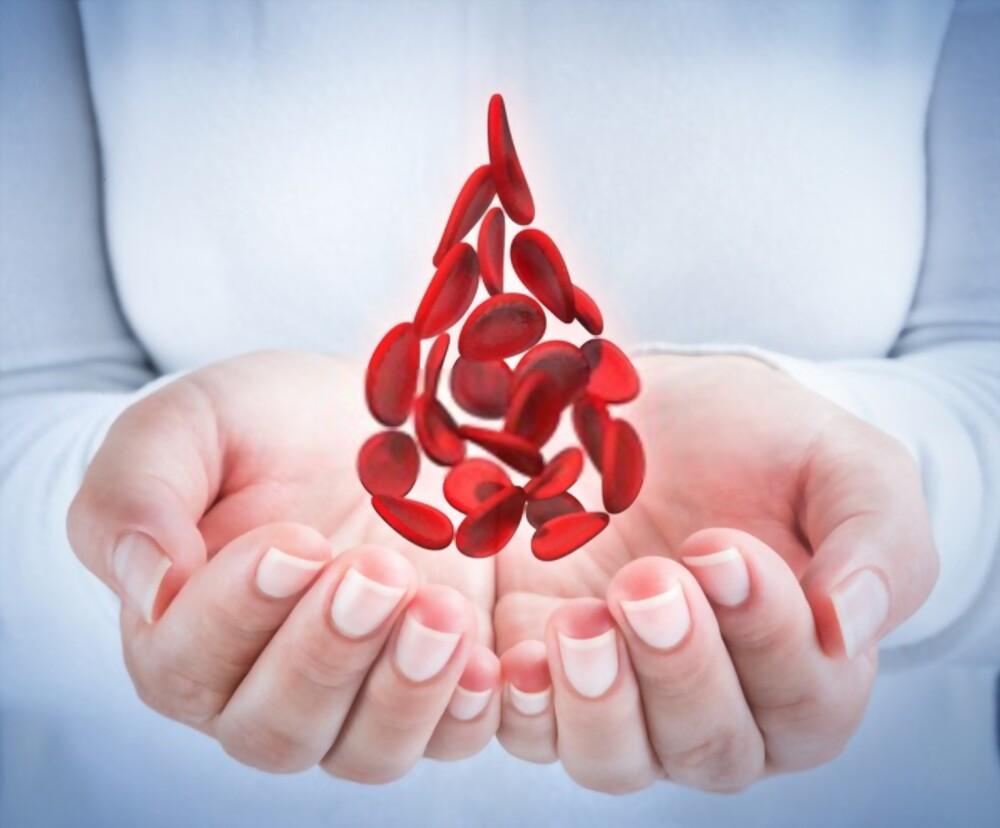 best-foods-for-red-blood-cells