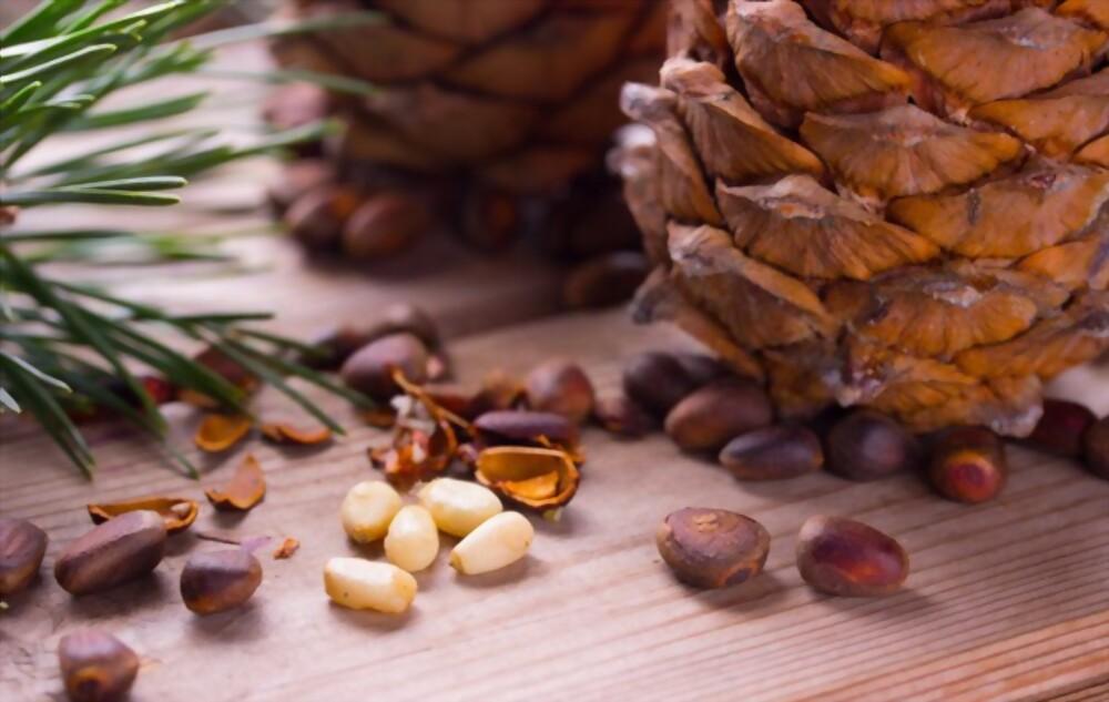 pine-nuts-benefits
