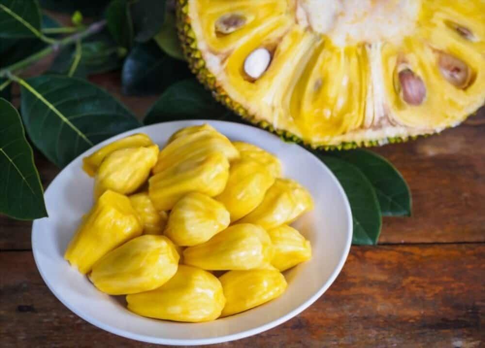 can-babies-eat-jackfruit