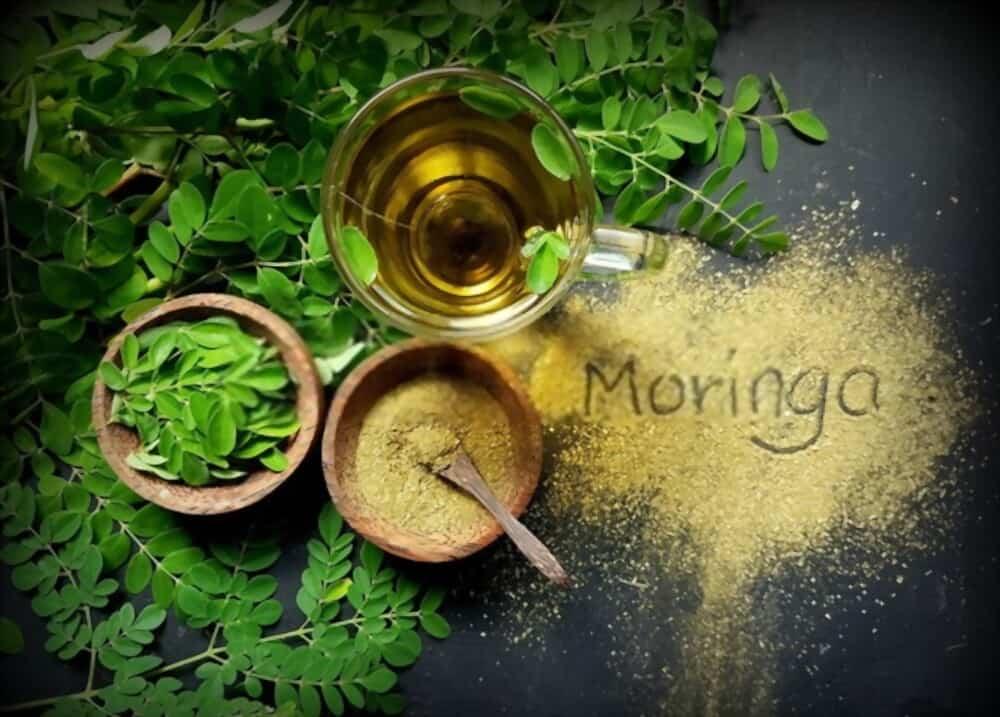 moringa-leaf-benefits-for-skin