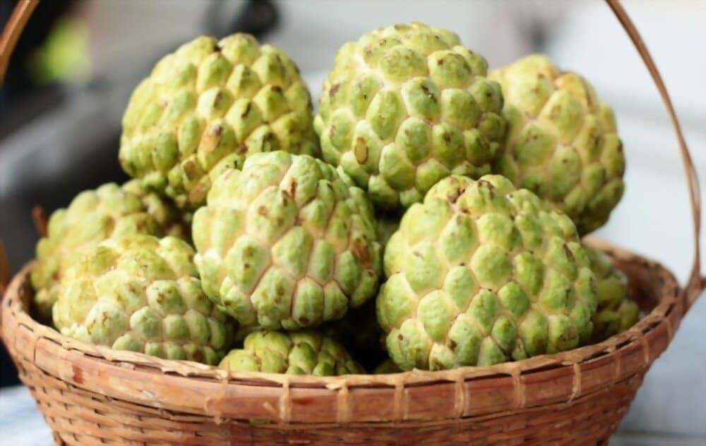 ဩဇာသီး စားရင်း ကျန်းမာကြမယ်