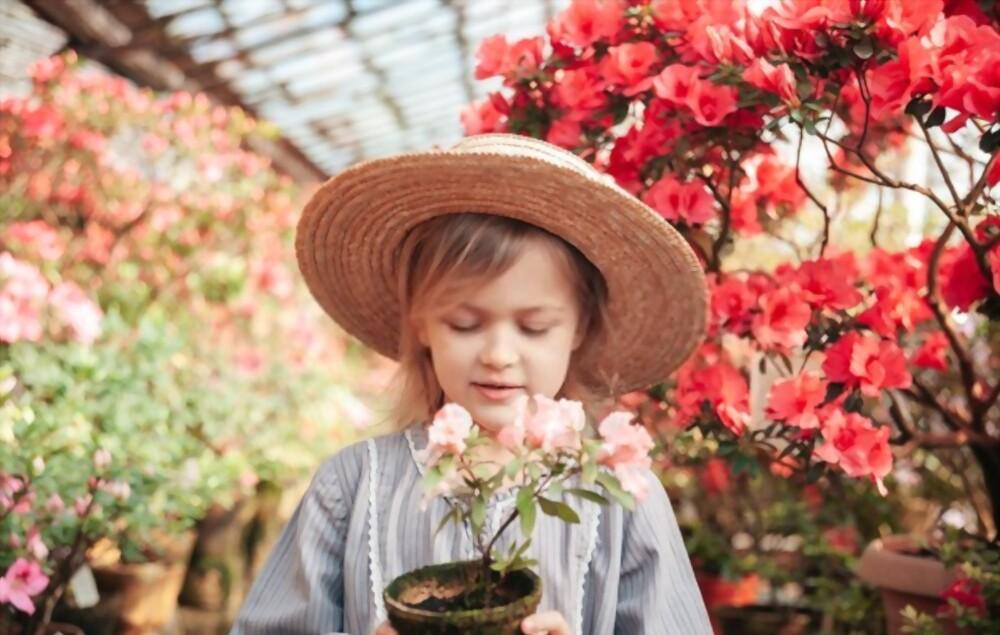 about-toddler-and-preschooler-growth-and-development